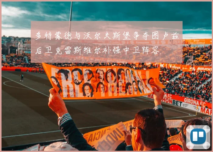 多特蒙德与沃尔夫斯堡争夺图卢兹后卫克雷斯维尔补强中卫阵容