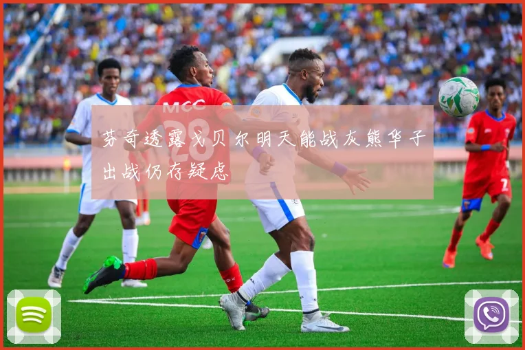 芬奇透露戈贝尔明天能战灰熊华子出战仍存疑虑