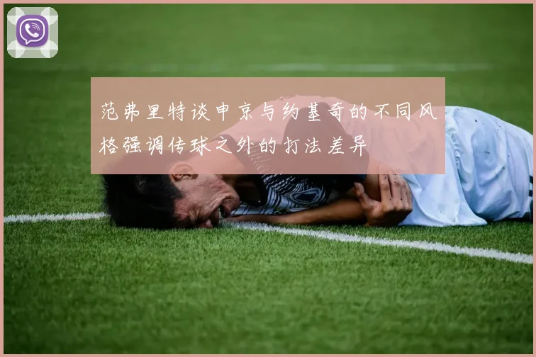 范弗里特谈申京与约基奇的不同风格强调传球之外的打法差异